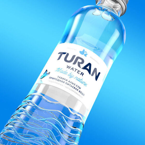 TURAN В СТЕКЛЕ — изображение 2